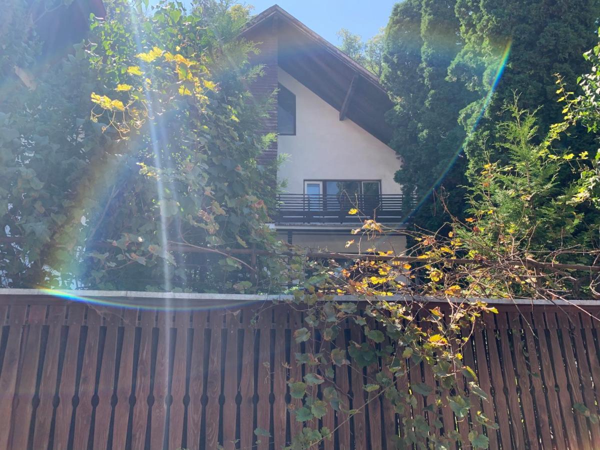 Timi Residence Braşov Exterior foto