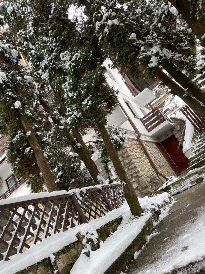 Timi Residence Braşov Exterior foto